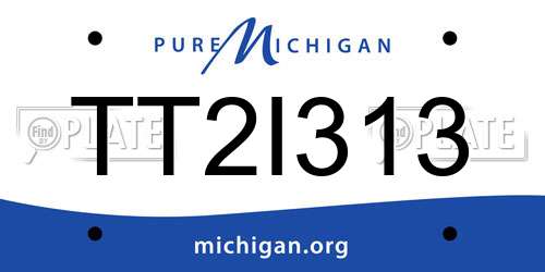 TT2I313 Michigan License Plate