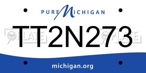 TT2N273 Michigan License Plate