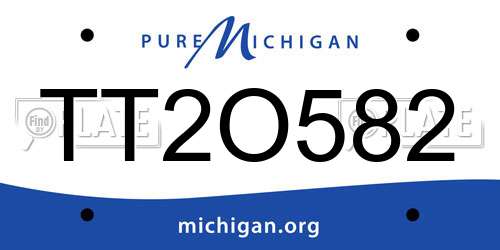 TT2O582 Michigan License Plate