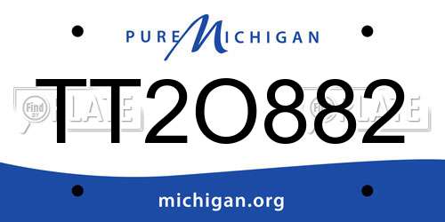 TT2O882 Michigan License Plate