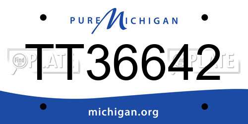 TT36642 Michigan License Plate