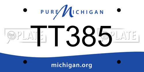 TT385 Michigan License Plate
