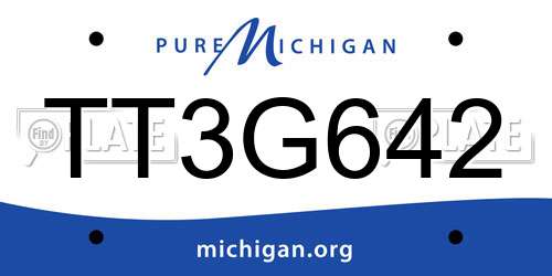 TT3G642 Michigan License Plate