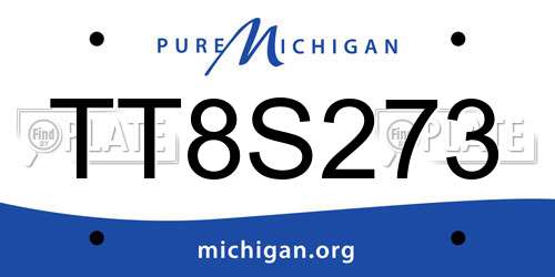 TT8S273 Michigan License Plate