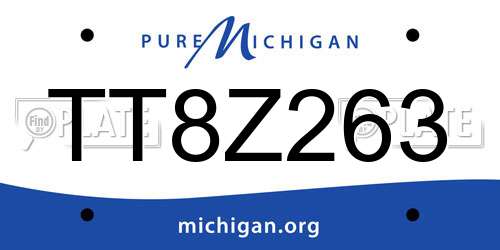 TT8Z263 Michigan License Plate