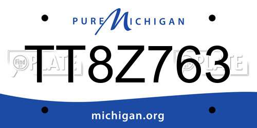 TT8Z763 Michigan License Plate