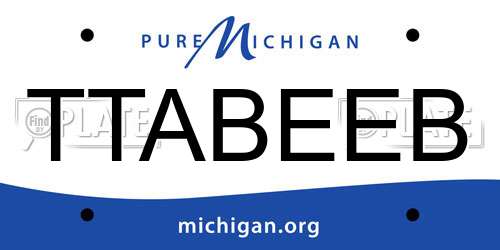 TTABEEB Michigan License Plate