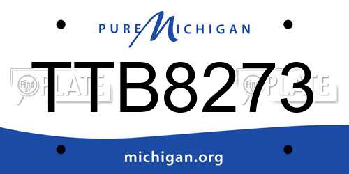 TTB8273 Michigan License Plate