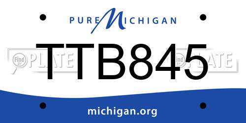 TTB845 Michigan License Plate