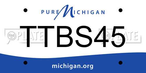 TTBS45 Michigan License Plate