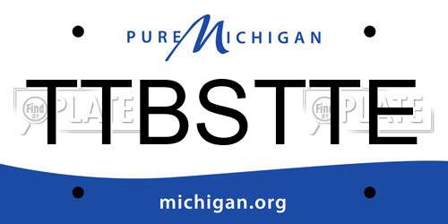 TTBSTTE Michigan License Plate