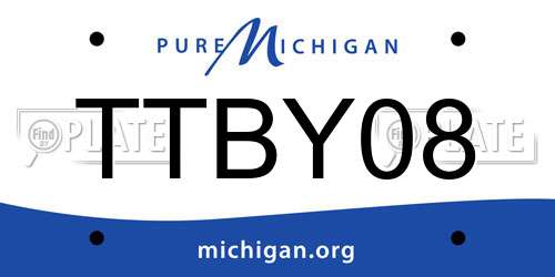 TTBY08 Michigan License Plate