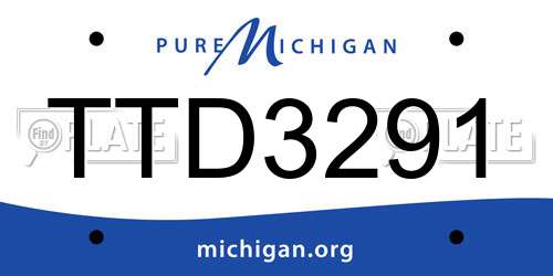 TTD3291 Michigan License Plate