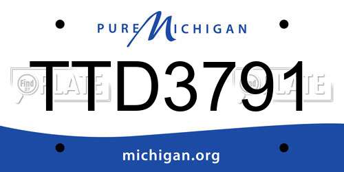 TTD3791 Michigan License Plate