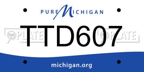TTD607 Michigan License Plate