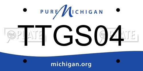 TTGS04 Michigan License Plate