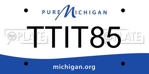 TTIT85 Michigan License Plate