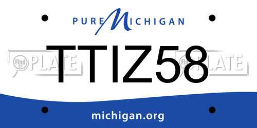 TTIZ58 Michigan License Plate