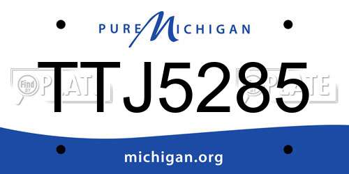 TTJ5285 Michigan License Plate