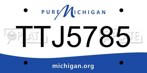 TTJ5785 Michigan License Plate