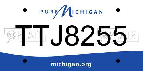 TTJ8255 Michigan License Plate
