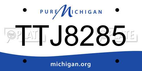 TTJ8285 Michigan License Plate
