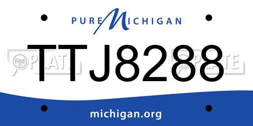 TTJ8288 Michigan License Plate