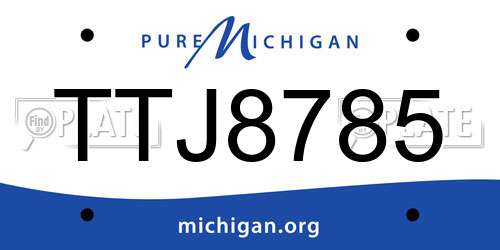 TTJ8785 Michigan License Plate