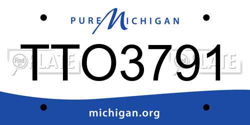 TTO3791 Michigan License Plate
