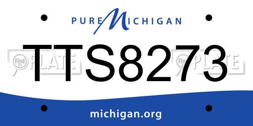 TTS8273 Michigan License Plate