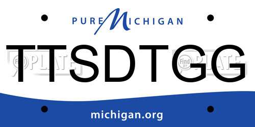 TTSDTGG Michigan License Plate