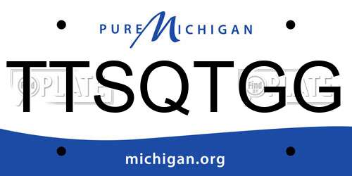 TTSQTGG Michigan License Plate