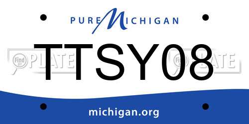 TTSY08 Michigan License Plate