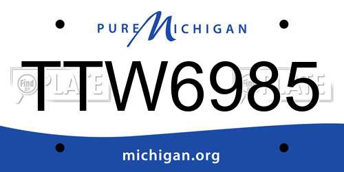 TTW6985 Michigan License Plate