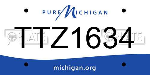 TTZ1634 Michigan License Plate