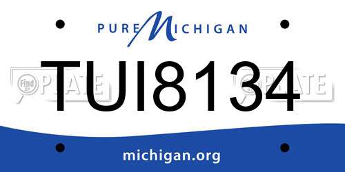 TUI8134 Michigan License Plate