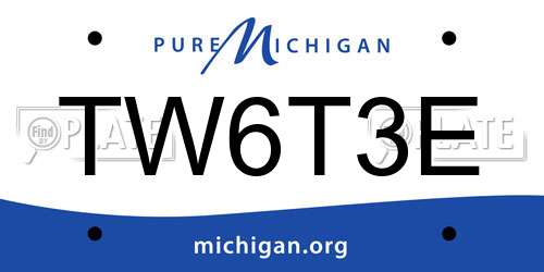TW6T3E Michigan License Plate