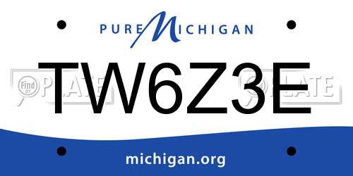 TW6Z3E Michigan License Plate
