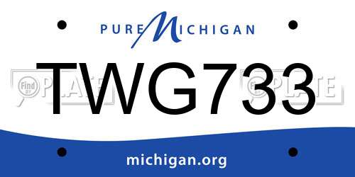 TWG733 Michigan License Plate