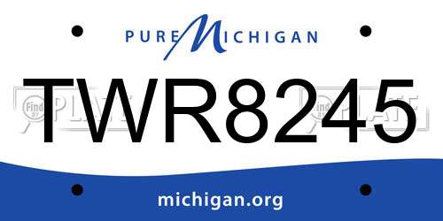 TWR8245 Michigan License Plate