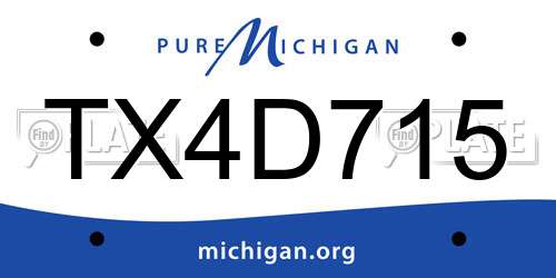 TX4D715 Michigan License Plate
