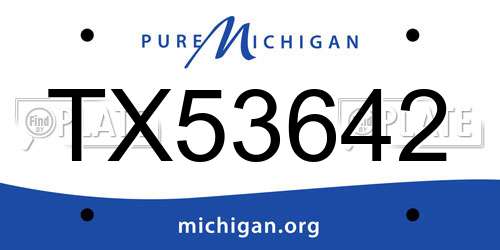 TX53642 Michigan License Plate