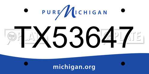 TX53647 Michigan License Plate