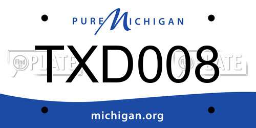 TXD008 Michigan License Plate