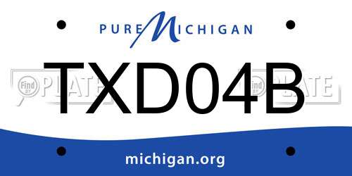 TXD04B Michigan License Plate