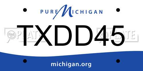 TXDD45 Michigan License Plate