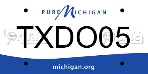 TXDO05 Michigan License Plate