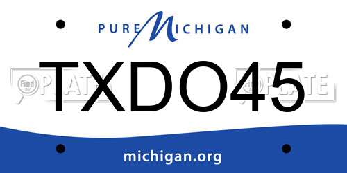 TXDO45 Michigan License Plate