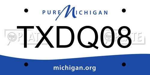 TXDQ08 Michigan License Plate
