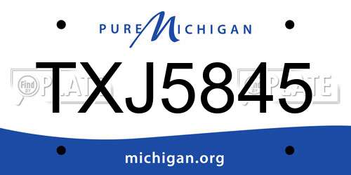 TXJ5845 Michigan License Plate